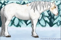 Horse Color:Bay Dun Sabino Rabicano