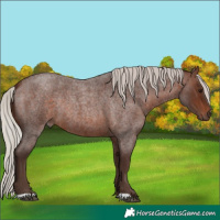 Horse Color:Silver Brown Roan Rabicano 