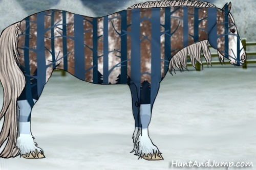 Horse Color:White Spotted Silver Brown