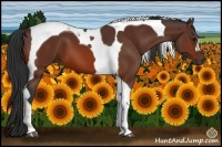 Horse Color:Bay Tobiano