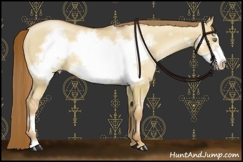 Horse Color:Red Dun Pearl Frame 