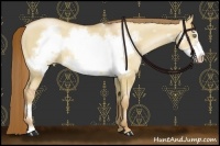 Horse Color:Red Dun Pearl Frame