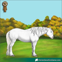 Horse Color:Smoky Creme Blanket 