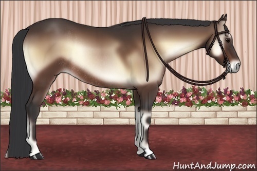 Horse Color:Bay Onyx Rabicano 