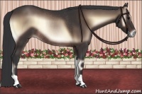 Horse Color:Brown Onyx Rabicano