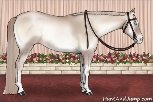 Horse Color:Chocolate Palomino Pearl Onyx 