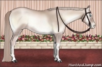 Horse Color:Chocolate Palomino Pearl Onyx