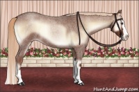 Horse Color:Red Onyx Roan Splash Rabicano