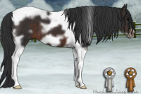 Horse Color:Brown Tobiano Frame 