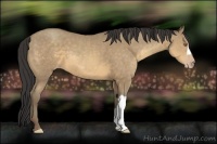 Horse Color:Sable Cream Champagne 