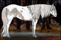 Horse Color:Silver Brown Splash Tobiano Varnish
