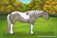 Horse Color:Silver Black Tobiano
