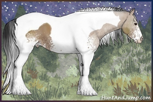Horse Color:White Spotted Bay Dun Tobiano 