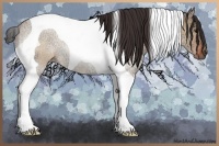 Horse Color:Bay Ice Dun Tobiano 
