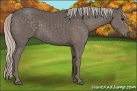 Horse Color:Silver Black 