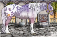 Horse Color:Watercolor Silver Sable Champagne Tobiano Blanket