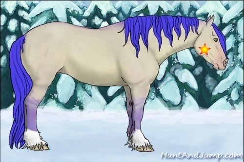 Horse Color:Watercolor Amber Champagne Dun