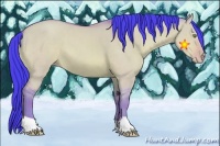 Horse Color:Watercolor Amber Champagne Dun 