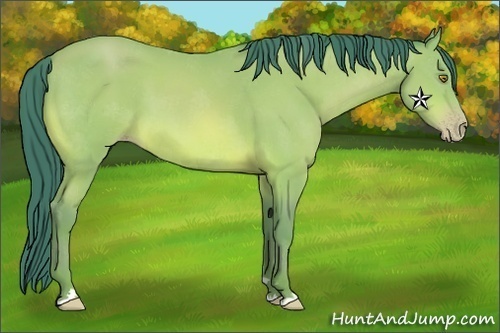Horse Color:Watercolor Amber Champagne