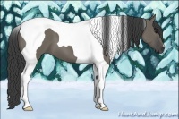 Horse Color:Smoky Grullo Tobiano