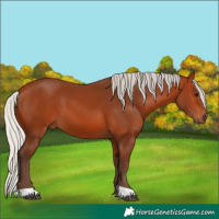 Horse Color:Silver Bay 