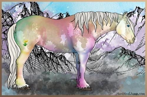 Horse Color:White Spotted Silver Smoky Grullo Splash Rabicano 