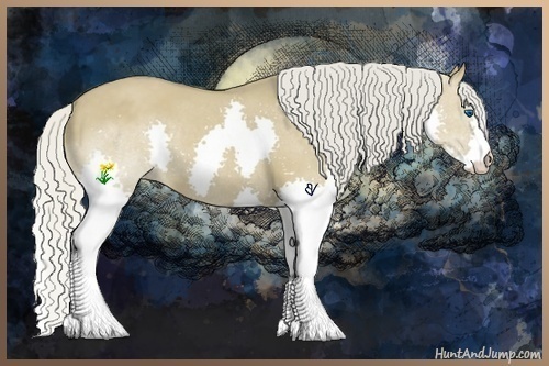 Horse Color:Silver Smoky Grullo Splash