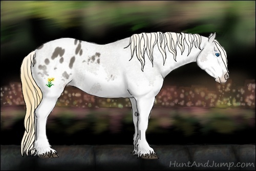 Horse Color:White Spotted Smoky Grullo Splash Varnish Rabicano
