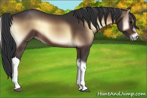 Horse Color:Brown Onyx 