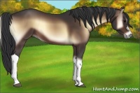 Horse Color:Brown Onyx 