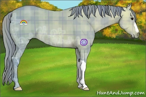 Horse Color:Watercolor Plaid Buckskin Ice