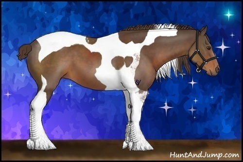 Horse Color:Liver Chestnut Sabino Tobiano 