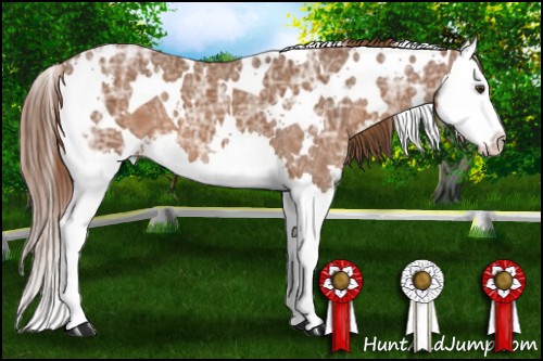 Horse Color:White Spotted Chestnut Ice Splash 