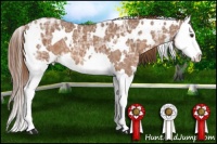 Horse Color:White Spotted Chestnut Ice Splash