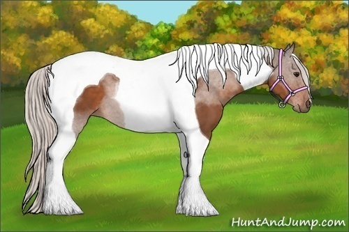 Horse Color:Silver Bay Tobiano