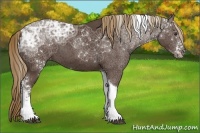 Horse Color:White Spotted Liver Chestnut Ice Tobiano 