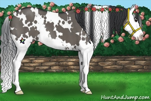 Horse Color:White Spotted Grullo Splash