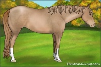 Horse Color:Liver Chestnut Pearl 