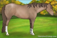 Horse Color:Black Pearl