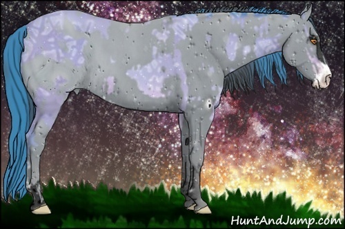 Horse Color:Watercolor Sable Champagne Ice Sabino  and ERROR: UNKNOWN ANOMALY