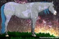 Horse Color:Watercolor Sable Champagne Ice Sabino  and ERROR: UNKNOWN ANOMALY