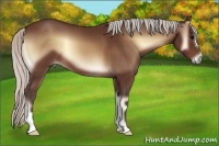 Horse Color:Silver Brown Onyx