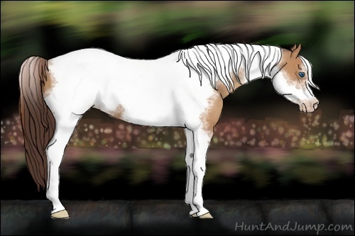 Horse Color:Classic Champagne Tobiano Frame 