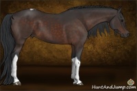 Horse Color:Bay Sabino Tobiano