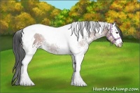 Horse Color:White Spotted Brown Tobiano 