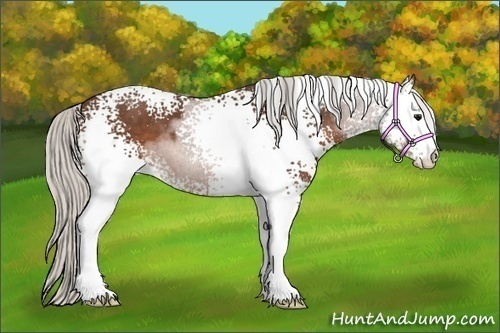 Horse Color:White Spotted Silver Brown 