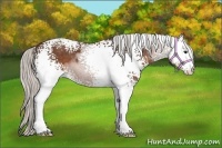 Horse Color:White Spotted Silver Brown