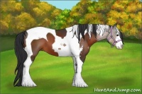 Horse Color:Bay Sabino Tobiano