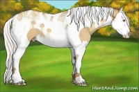 Horse Color:Silver Sable Champagne Dun Splash Tobiano 
