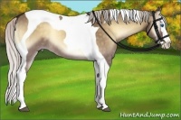 Horse Color:Silver Bay Onyx Splash Tobiano